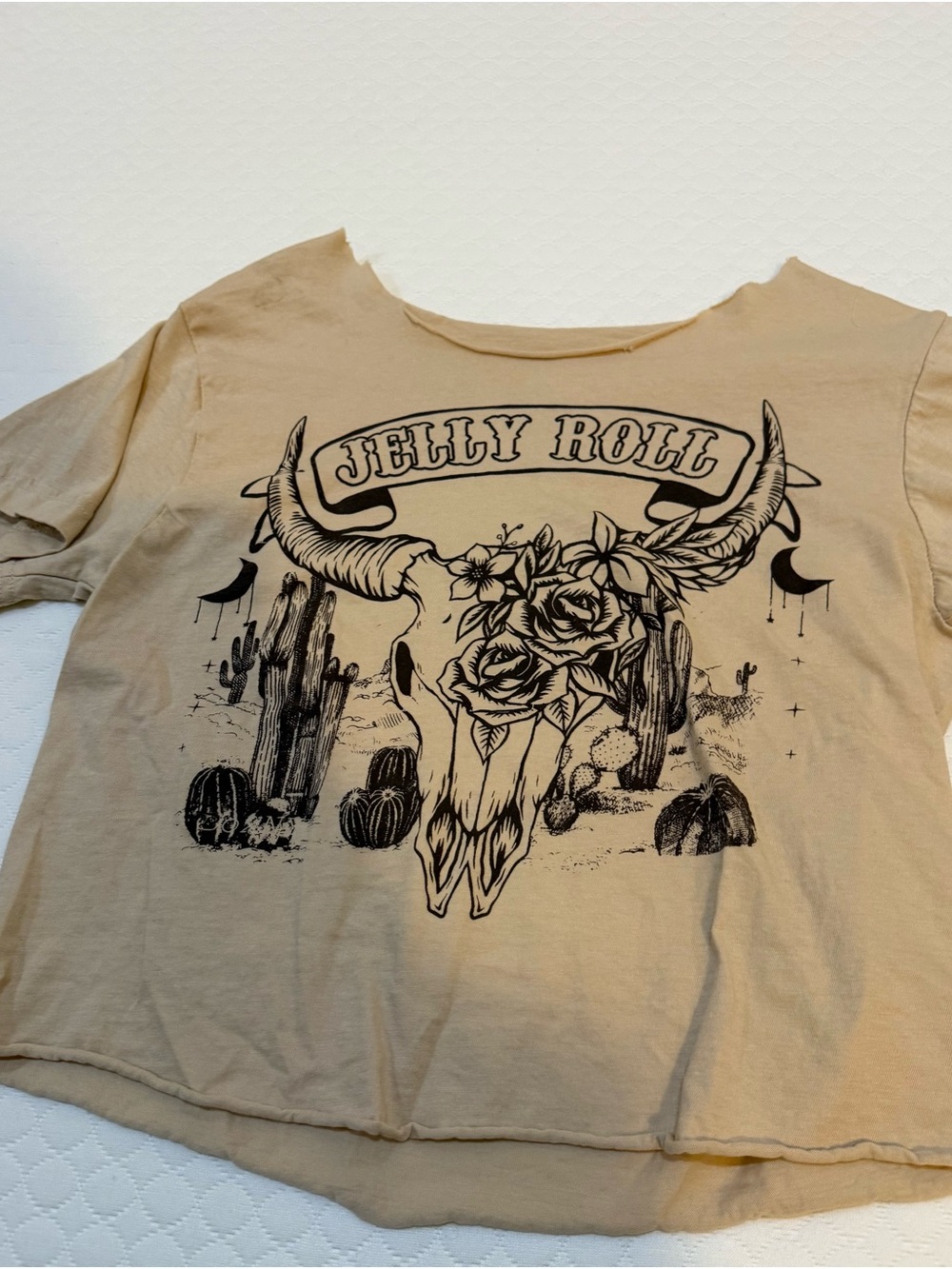 Jelly Roll concert Graphic Crop Tee